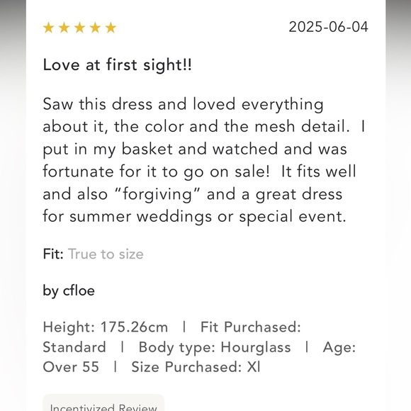 Anthropologie NWT En Elly Mesh Slim Midi Dress size XS. - Picture 9 of 15